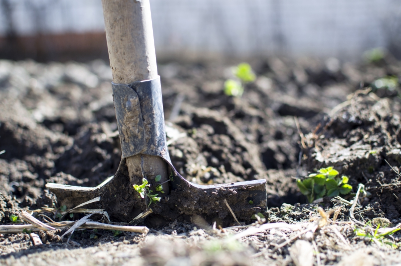 jardinerie-BEZAUDUN LES ALPES-min_equipment-2047314